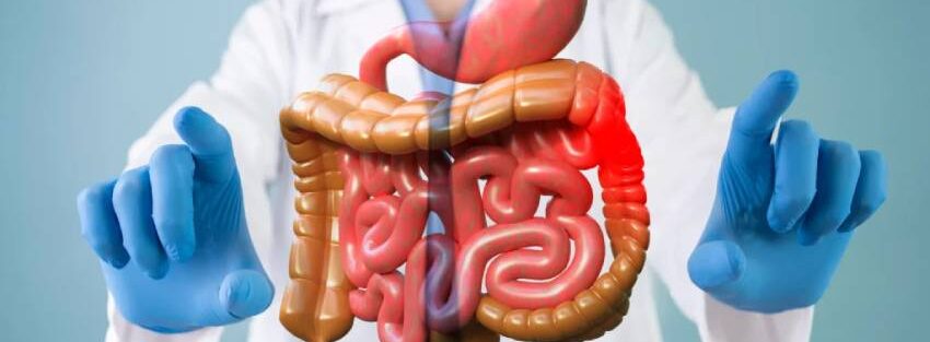Best Gastrointestinal (GI) Specialist in New Delhi and Faridabad