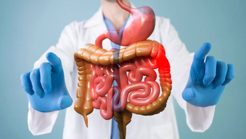 Best Gastrointestinal (GI) Specialist in New Delhi and Faridabad